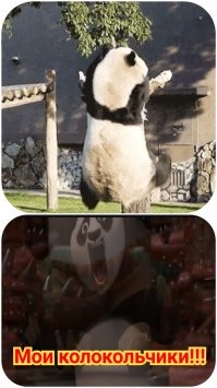 Гифки дня