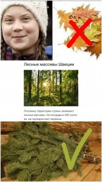 Комиксы и карикатуры