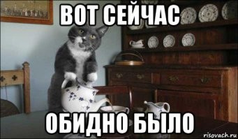 Ученые выяснили: сон с собакой полезен для человека