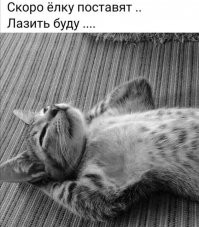Доза позитива!