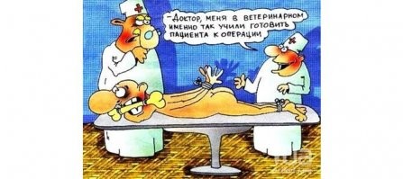 Не стоило обижать медика