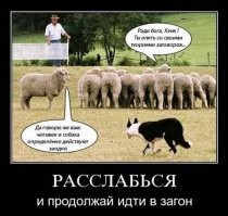 Мы не верим в теории заговора