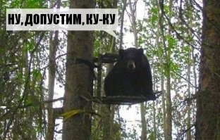 Демотиваторы: дети, животные и непобедимая техника 