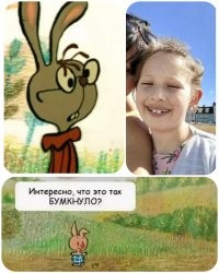 Англичанка приняла гранату за рвоту кашалота и осталась без кухни