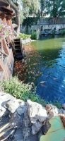 Был там этим летом с детьми (проездом с моря, специально заночевали в Старой Станице)... Очень круто и интересно, ничего подобного не видел раньше!!!