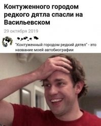 Прикольные и смешные картинки