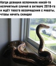 У моей тоже есть книга моих косяков,когда в соре кончаются аргументы,а помнишь...........