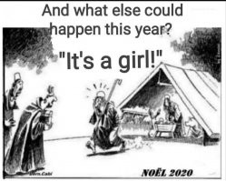 Женщина, проходившая мимо вертепа, обнаружила спящую в яслях собаку