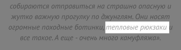 Что такое "тепловой рюкзак"? 

"Термосумка" (сумка-"термос")?

Переводчик старался...