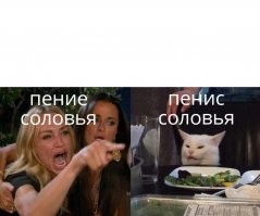 Прикольные и смешные картинки