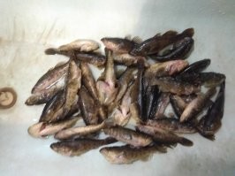 Не вижу проблемы.