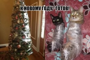 История противостояния котов и ёлок в мемах