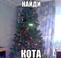 История противостояния котов и ёлок в мемах