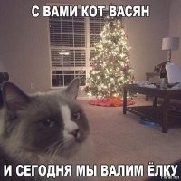История противостояния котов и ёлок в мемах