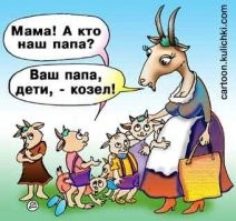В Турции домашний скот сбежал с фермы и отправился в мэрию