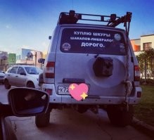 18 прикольных надписей на авто, которые невозможно игнорировать
