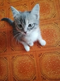 Прям, как моя! Только чуть младше.