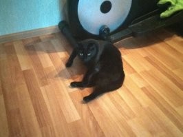 Смотрящий за коридором