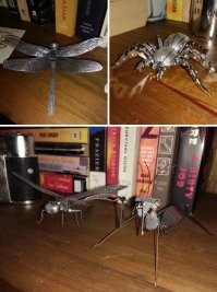 Таким хобби может заняться каждый...
_