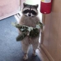 В ту же тему.