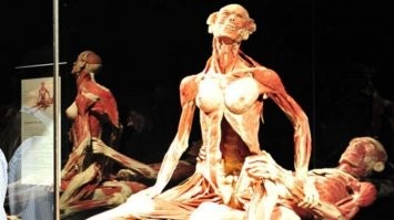 Меня поражает инсталляция с двумя трупами.. Эти люди в жизни даже не были знакомы а их соединили после смерти.. Это очень мерзко..