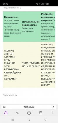 ""Как стало известно «МК», виновником аварии, вероятнее всего, признают водителя «БМВ» 49-летнего Эльмана Ахлиман оглы Гадирова. Погибший азербайджанец зарегистрирован в Ямало-Ненецком автономном округе   там проживает сестра с родней. А жена с тремя детьми  в Азербайджане. В московском регионе Эльман зарабатывал  деньги для всех близких. Мужчина владел торговыми точками.
Из базы данных ГИБДД следует, что погибший ездил на BMW 530Xi 2005 года сборки (258 лошадиных сил, полный привод, 6,8 секунд до 100 км/ч без доработок). Машиной он владел два года и три месяца.
За время владения BMW он сумел получить 143 штрафа на общую сумму 98 тыс. рублей. Из них пять штрафов на 1 тыс. 250 рублей, на 14.00 мск понедельника, остаются неоплаченными.
Кроме того, на машине стоит запрет на регистрационные действия. В то же время в базе нет данных о том, что машина до этого попадала в ДТП.
Большинство штрафов водитель получил за превышение скорости и несоблюдение требований, нарушение разметки и «нарушение требований, предписанных дорожными знаками».""