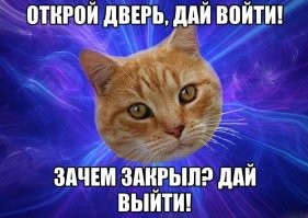 15 домашних липучек, из цепких лапок которых никуда не деться