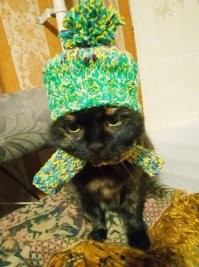 Не такая волосатая, но шерсти тоже хватает. :-)