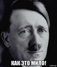 Мужчина спас замерзавшего на льду реки бобра