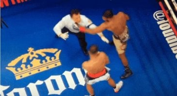 На те сука, чтобы судил правильней!