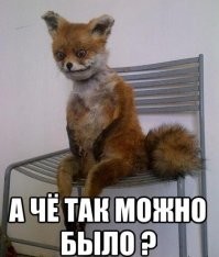 Трампу не разрешают переехать из Белого дома в собственное поместье во Флориде