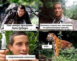 Зачем тиграм полосы?