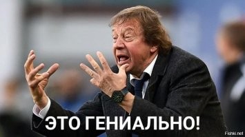 Кошачьи гифки в рыжих тонах