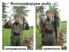 35 гигантов нашего мира