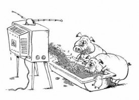 Что у нас власть жуликов, бандитов и убийц заказывает для народа, которого она называет быдлом, то зомбоящик и показывает...