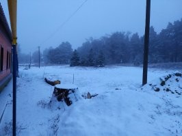 Класс! Сделаю, только жёлуди под снегом придется искать.