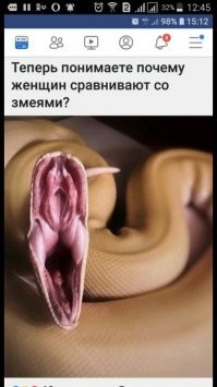 Самая ядовитая змея, черная мамба
