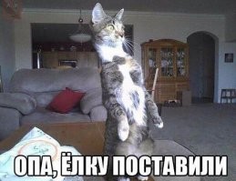 Понаставили тут, елки-палки!