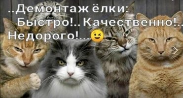 Понаставили тут, елки-палки!