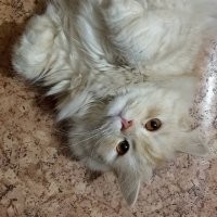 Но зато и обаяния вагон!