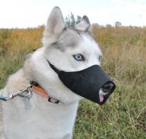 Для Бандита.