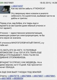 15 убедительных причин, почему Австралию лучше любить издалека 
