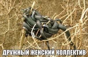 У меня всё!)