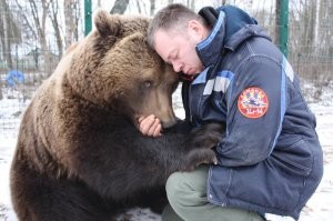 Примеры, когда по одному только взгляду легко понять величину любви питомцев к их хозяевам