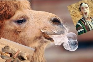 Жена, больная коронавирусом, плюнула в лицо мужу, чтобы заразить его на день рождения