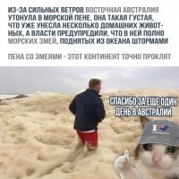 15 убедительных причин, почему Австралию лучше любить издалека 