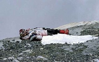 Этих она тоже будет собирать?