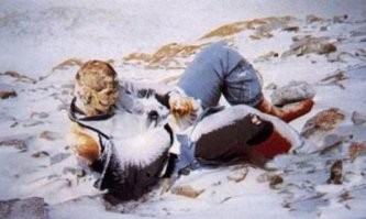 Этих она тоже будет собирать?