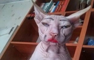 В Санкт-Петербурге пенсионерка бросила работу бухгалтера и стала моделью