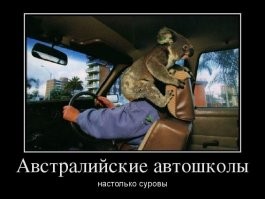 15 убедительных причин, почему Австралию лучше любить издалека 
